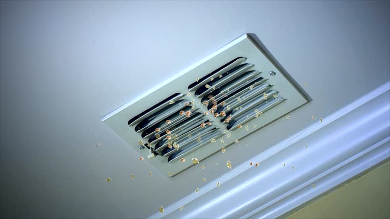 Best Residential Air Duct Cleaning  in Long Prairie, MN