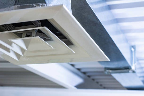 Best Affordable Air Duct Cleaning  in Long Prairie, MN