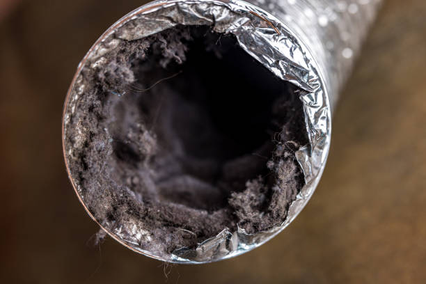 Best Best Air Duct Cleaning Company  in Long Prairie, MN