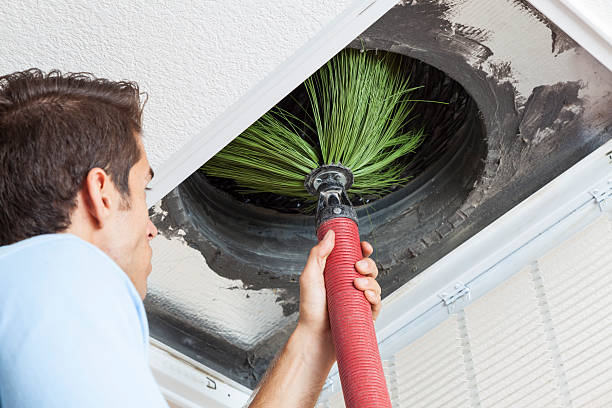 Best Air Duct Cleaning Near Me  in Long Prairie, MN