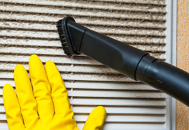 Best HVAC Air Duct Cleaning  in Long Prairie, MN